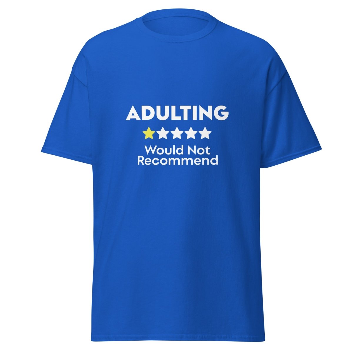 Would Not Recommend Adulting Shirt - Remember These Clothes